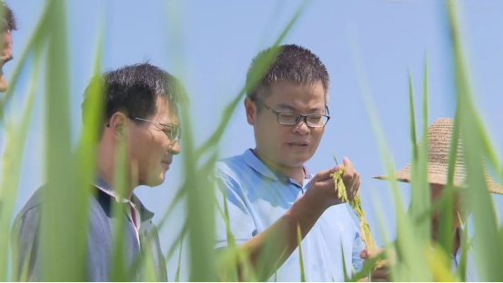 科技特派员为乡村振兴插上科技翅膀